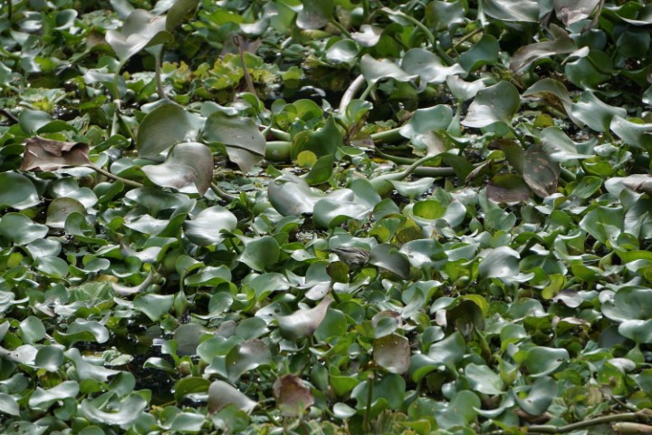 DSC02827