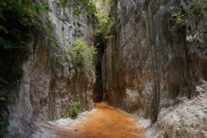 DSC09495
